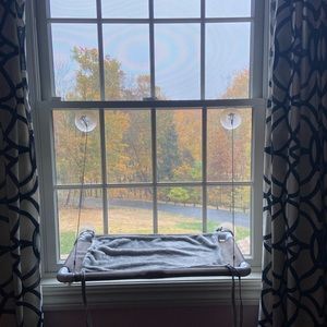 COPY - Suction Cup Cat Window Perch
